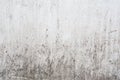 Grunge light gray texture of an old wall with black divorces, white surface with smudges, abstract background Royalty Free Stock Photo