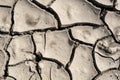 Grunge mud cracks texture Royalty Free Stock Photo