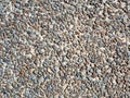 Grunge natural stone background. Various gravel backdrop. Cement wall decorated with stones in sunlight, close up