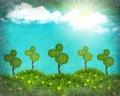 Grunge nature landscape collage with trees Royalty Free Stock Photo