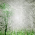 Grunge nature texture Royalty Free Stock Photo