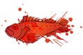 Grunge ocean perch illustration Royalty Free Stock Photo