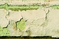 Grunge old painted wall of the house green color toned. Abstract background Royalty Free Stock Photo