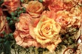 Grunge orange roses