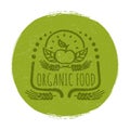 Grunge organic food label or banner design