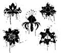 Grunge paint flower, element for design, vector