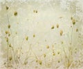 Grunge Pale Meadow Flower Art Background