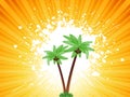 Grunge palm trees background Royalty Free Stock Photo