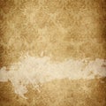 Grunge paper background with floral patterns. Royalty Free Stock Photo