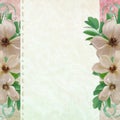 Grunge paper design for information with flowers Royalty Free Stock Photo