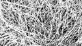 Grunge Pattern. Net, fabric or paper macro structure. Black white texture. Distress grain. Random long stalk grass texture
