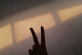 grunge peace afternoon shadow grunge girl hand window aesthetics aesthetic aesthetically