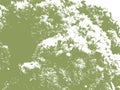 Grunge Pine Needle Vector Texture Background