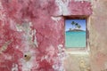 Grunge pink red wall window palm trees island