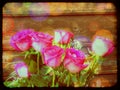 Grunge Pink Roses Royalty Free Stock Photo