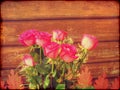 Grunge Pink Roses Royalty Free Stock Photo