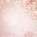 Grunge pink  wedding background with roses Royalty Free Stock Photo