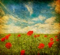 Grunge poppies background Royalty Free Stock Photo