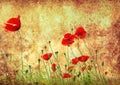 Grunge poppies background Royalty Free Stock Photo