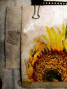 Grunge postcard with sunflower 3 Royalty Free Stock Photo