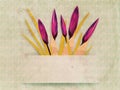 Vintage card with crocuses