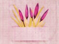 Vintage card with crocuses