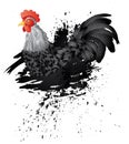 Grunge Rooster