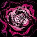 Grunge rose Illustration Royalty Free Stock Photo