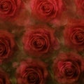 Grunge roses background Royalty Free Stock Photo