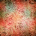 Grunge roses background Royalty Free Stock Photo