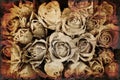 Grunge Roses background Royalty Free Stock Photo