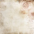 Grunge roses background Royalty Free Stock Photo