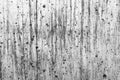 Grunge rough dirt texture