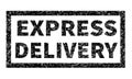 Grunge rubber stamp with text express delivery white Royalty Free Stock Photo