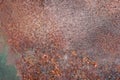 Grunge rusted metal texture, rust and oxidized metal background Royalty Free Stock Photo