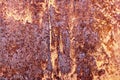 Grunge rusted metal texture, rust and oxidized metal background. Old metal iron panel Royalty Free Stock Photo