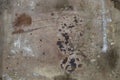 Grunge rusty metal background or texture with scratches and cracks, closeup, top view Royalty Free Stock Photo