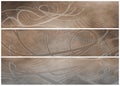 Grunge Sepia and Gray Headers or Banners Royalty Free Stock Photo