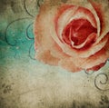 Grunge shabby Roses Background Royalty Free Stock Photo