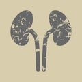 Grunge silhouette of kidneys vector icon.