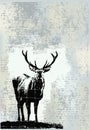 Grunge Stag