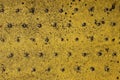 Grunge steel industrial boat floor plate painted yellow anti-rust paint. Robust ferry ship metal pattern. Old dotted iron deck. Royalty Free Stock Photo