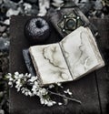 Grunge still life with open diary, black apple and blooming branch on witch table