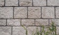 Grunge Stone Brick Wall Pattern with Leaves used as Termplate