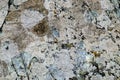 Grunge Stone Texture Royalty Free Stock Photo