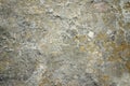 Grunge stone texture with moss Royalty Free Stock Photo