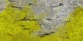 Grunge stucco wall light texture background with abstract marble cement texture and yellow parts in bottom. Royalty Free Stock Photo