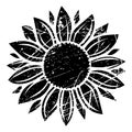 Grunge sunflower vector illustration in black color Royalty Free Stock Photo