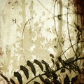 Grunge tangled branches on antique bamboo paper Royalty Free Stock Photo