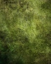 Grunge Texture Background